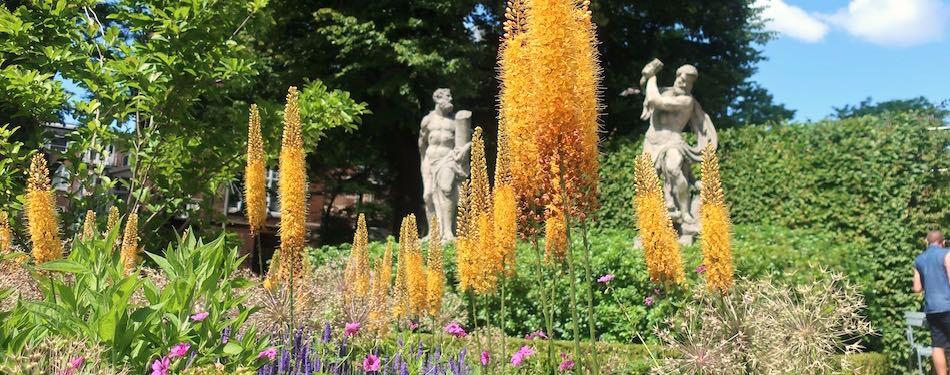 Rijksmuseum garden