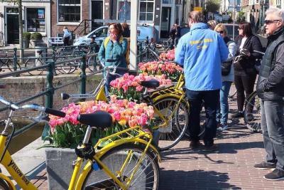 Tour d'Amsterdam à vélo
