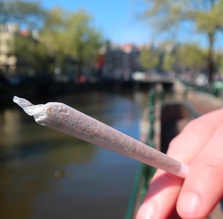 10 Drugs Facts & Statistics From The Netherlands You Didn't Know