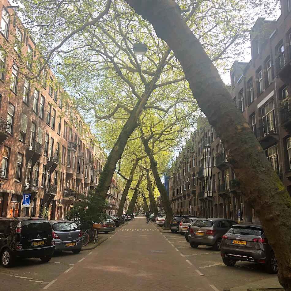 Amsterdamse Bomenstraat