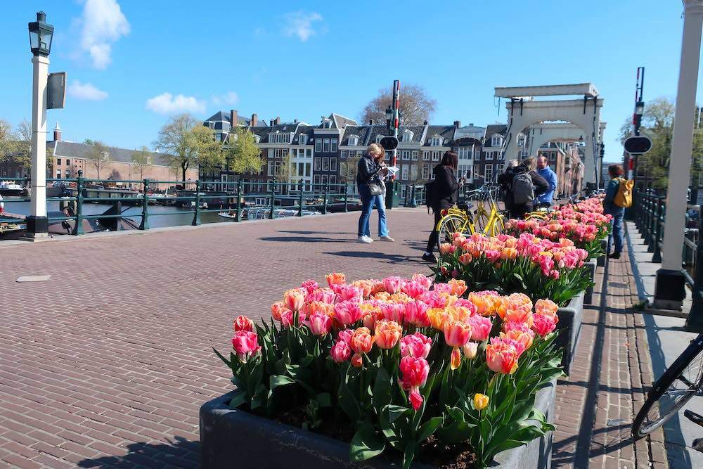 Free must see in Amsterdam