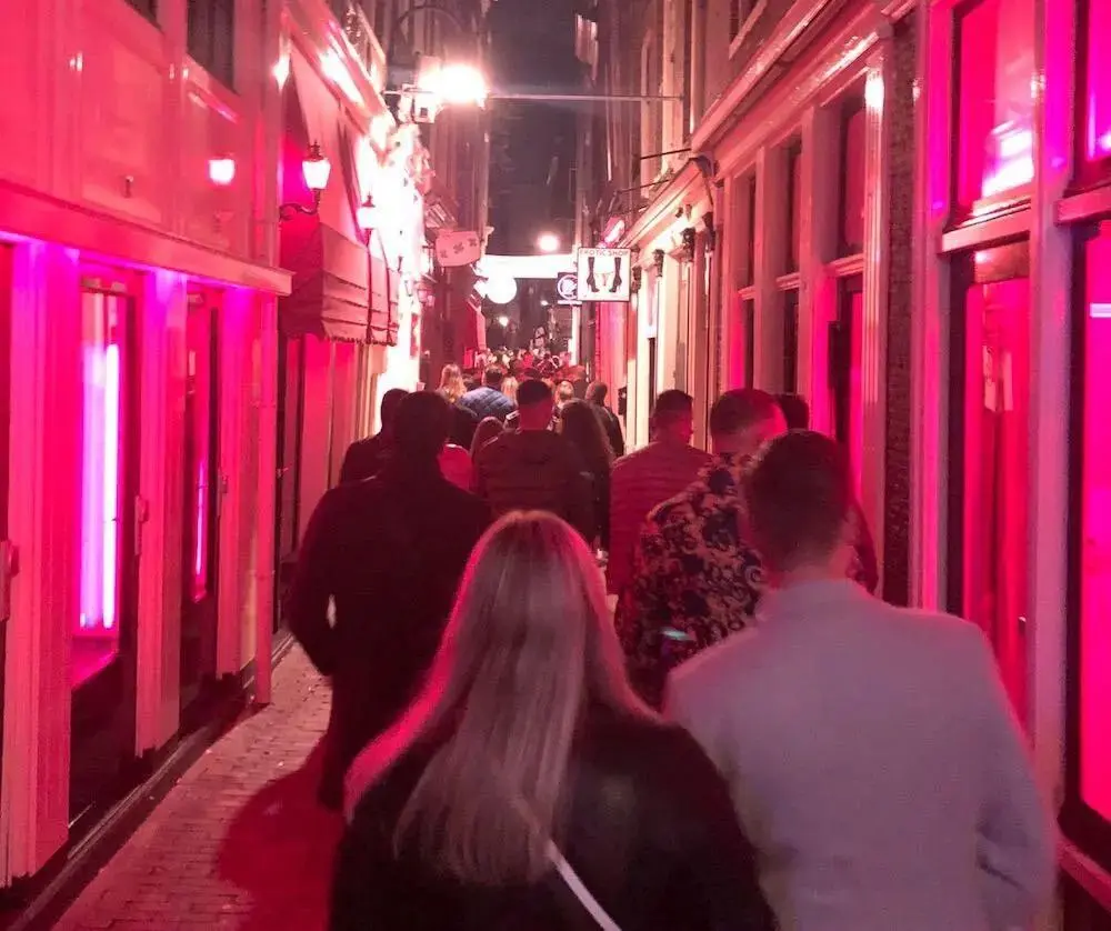 Red Light Amsterdam: Nightlife | Prices Windows [2023]
