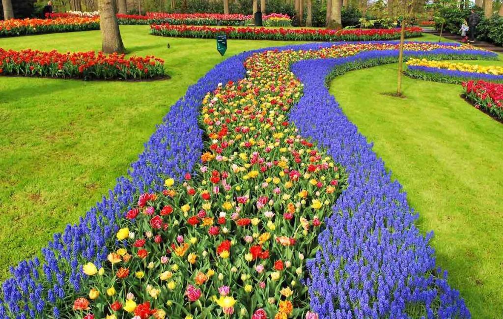 keukenhof