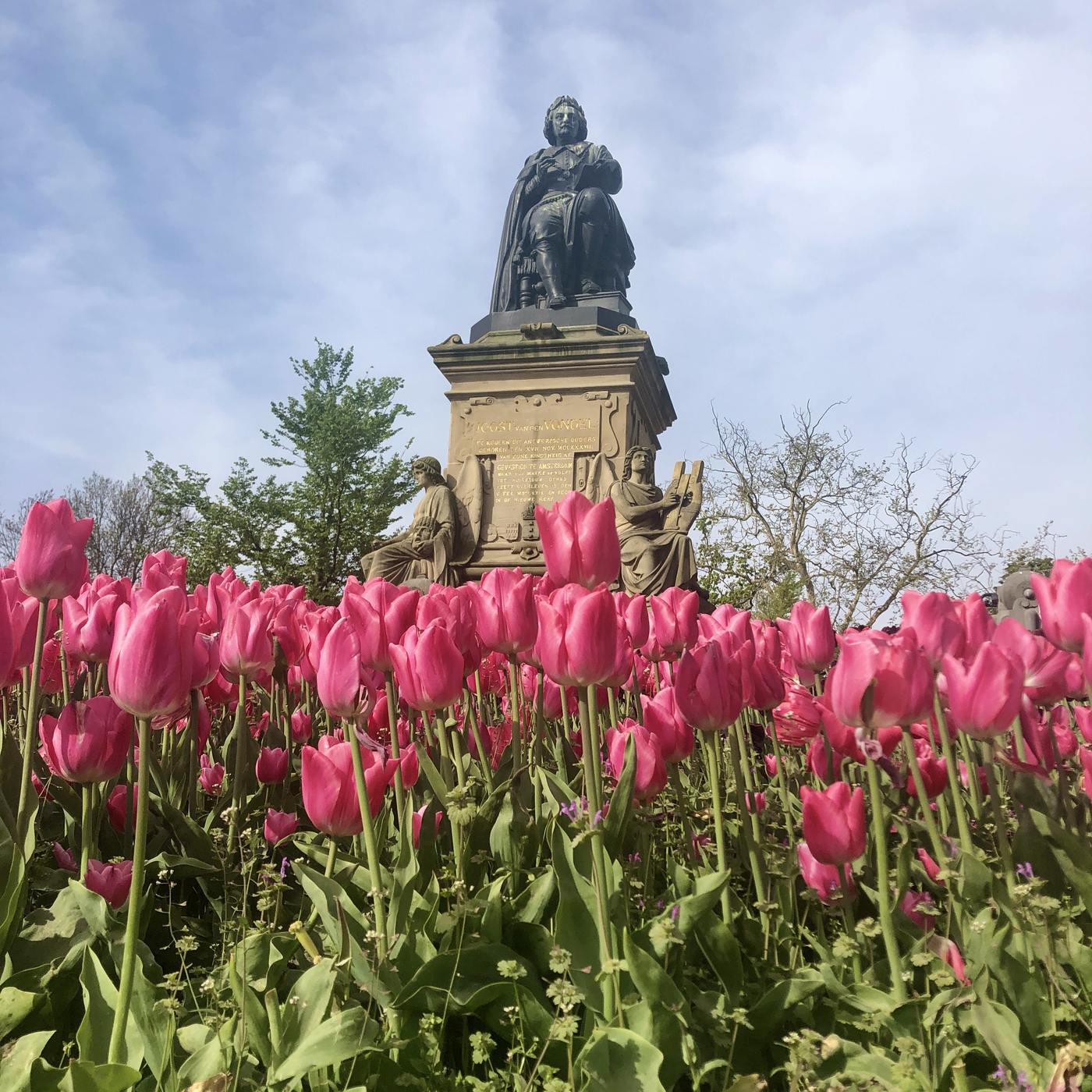 Tulips in front of the Joost van den Vondel statue in Vondelpark, Amsterdam